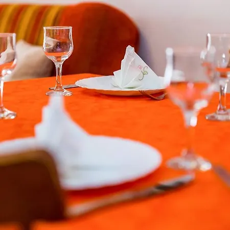 Apartment Vidikovac